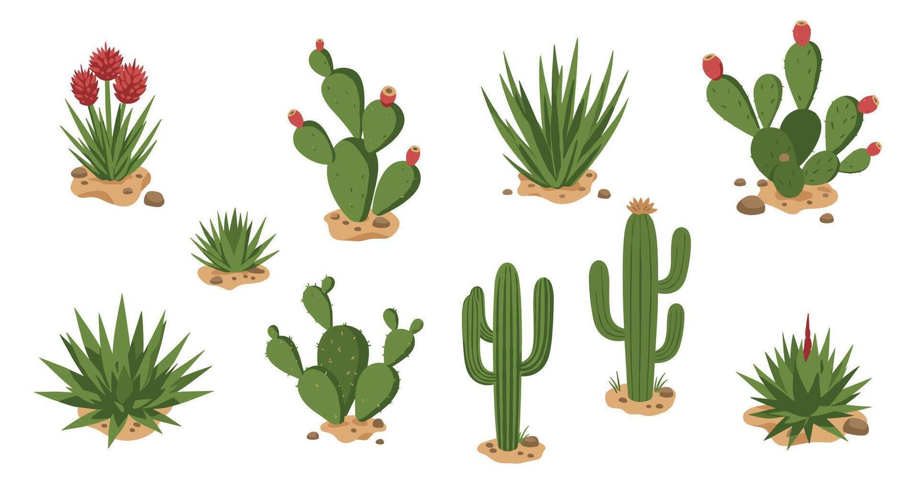 Diverse cactus collection featuring various succulent styles in flat design vector