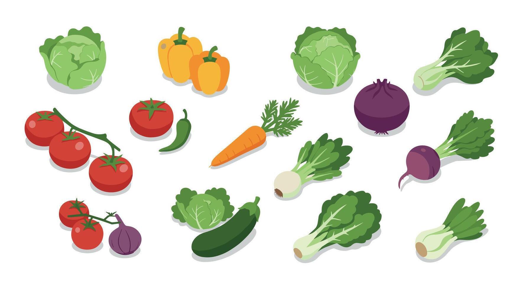 Fresh vegetable collection with cabbage, tomatoes, peppers, and more in colorful isometric design vector