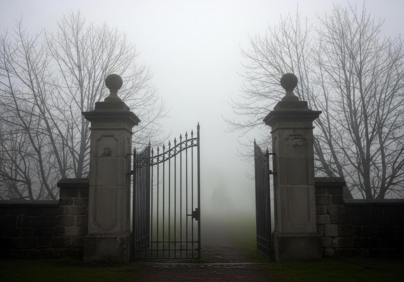 A foggy gate with two statues in front of it photo