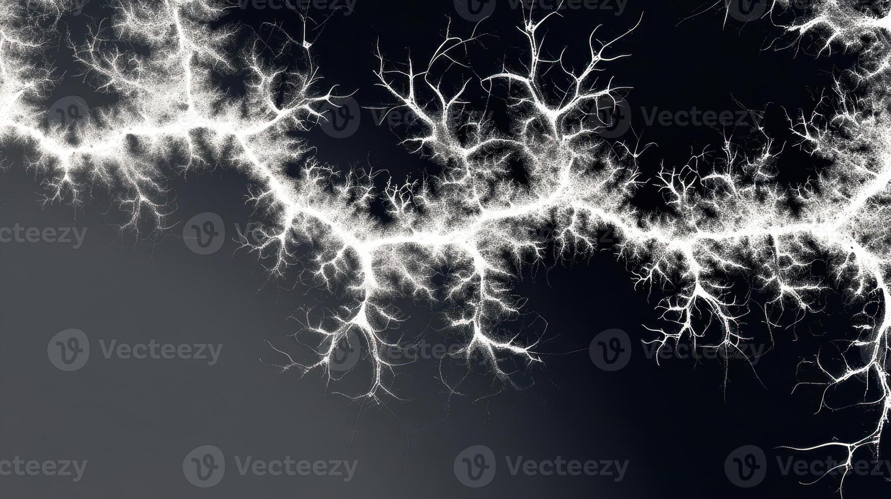 Monochrome fractal lightning pattern on dark background, abstract energy visualization photo