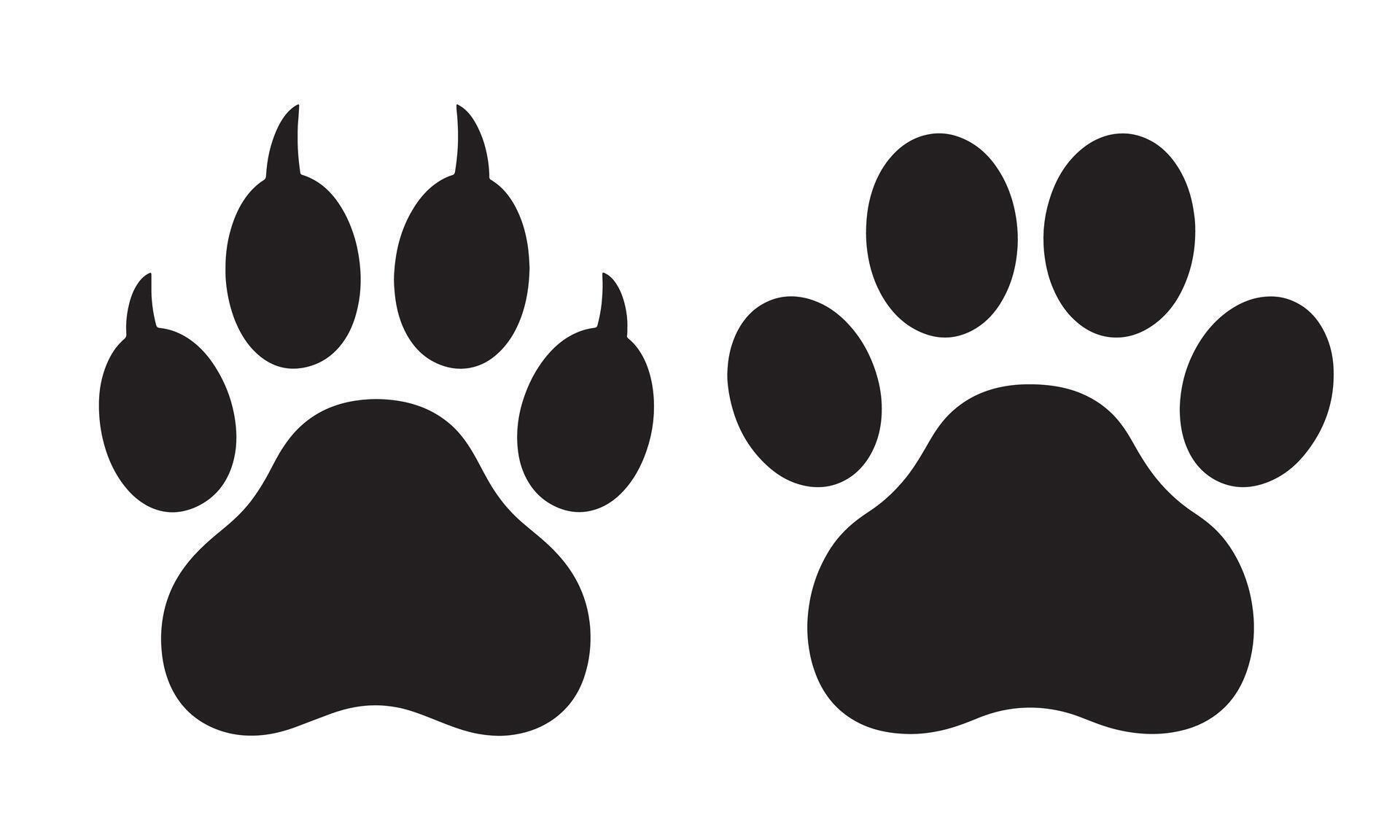 Animal paw print silhouettes isolated on white background for design Animal paw print silhouettes isolated on white background for design
