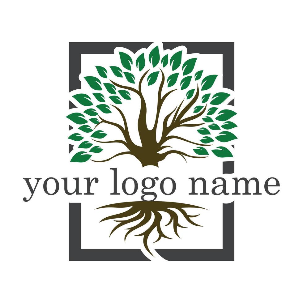 Tree with roots logo template isolated on white background vector