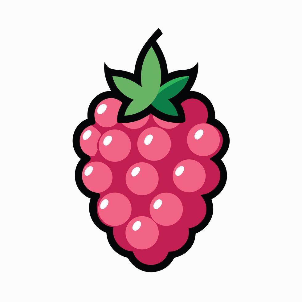 A raspberry is shown in a cartoon style vector