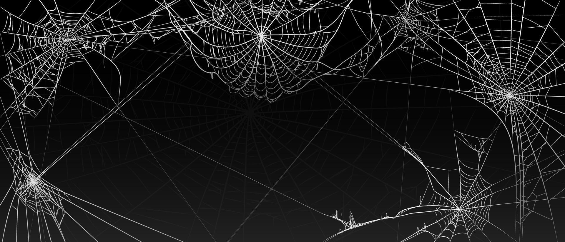 Halloween old spooky cobwebs with various sizes and shapes background vector