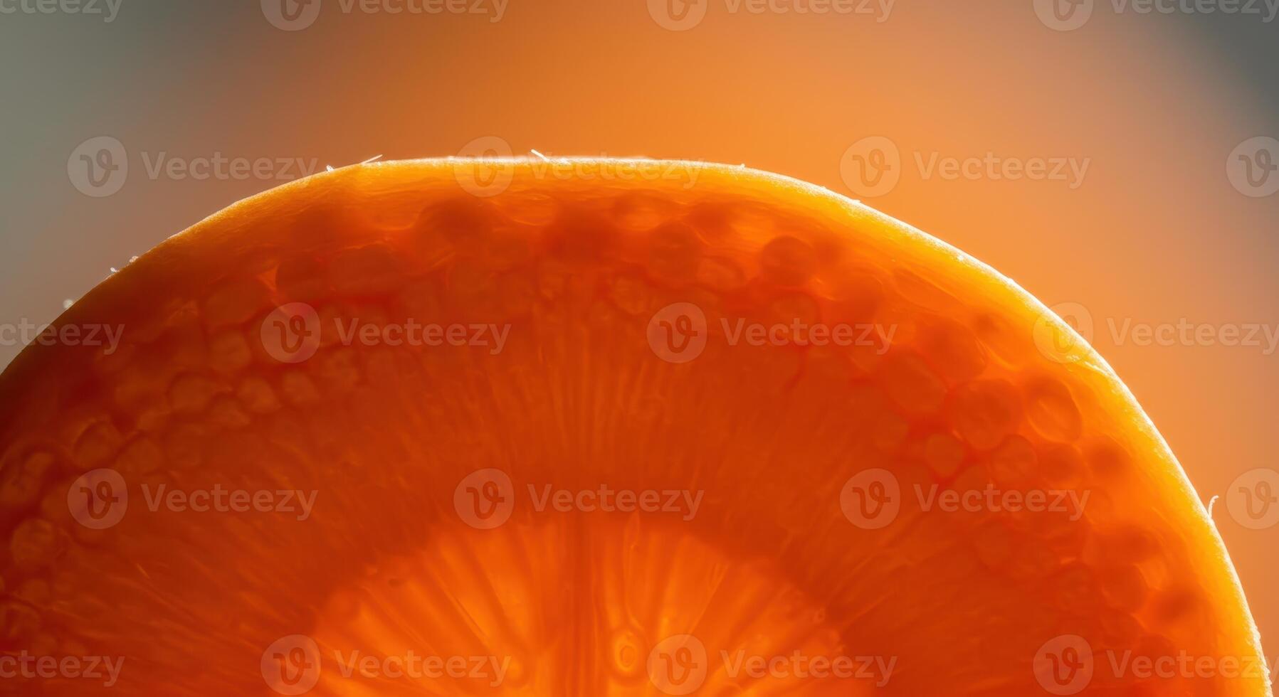 Vibrant orange carrot slice in macro close up with natural backlighting photo