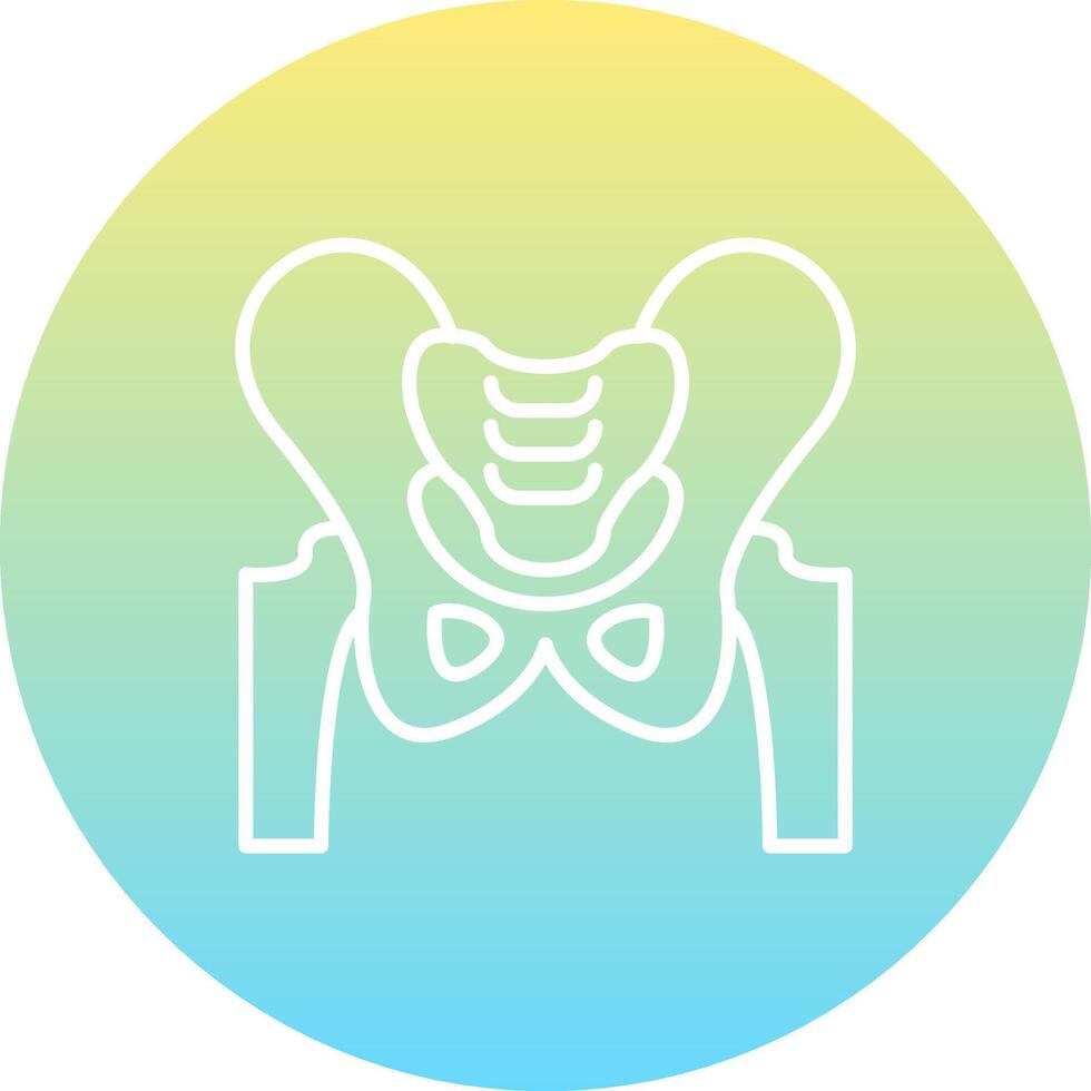 Pelvis Custom User Interface Layout vector
