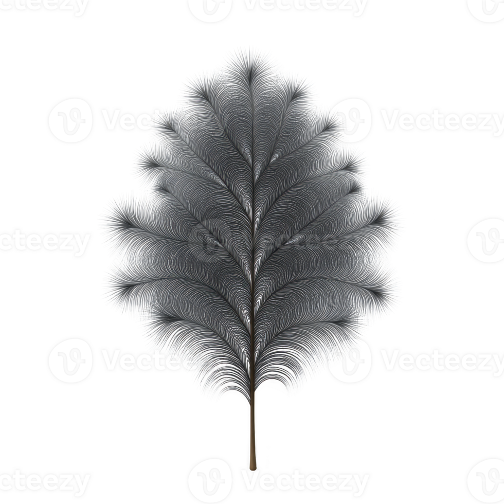 Delicate, intricate feather with symmetrical pattern and soft texture, resembling leaf, set against plain background. feather fine details create sense of elegance and tranquility png