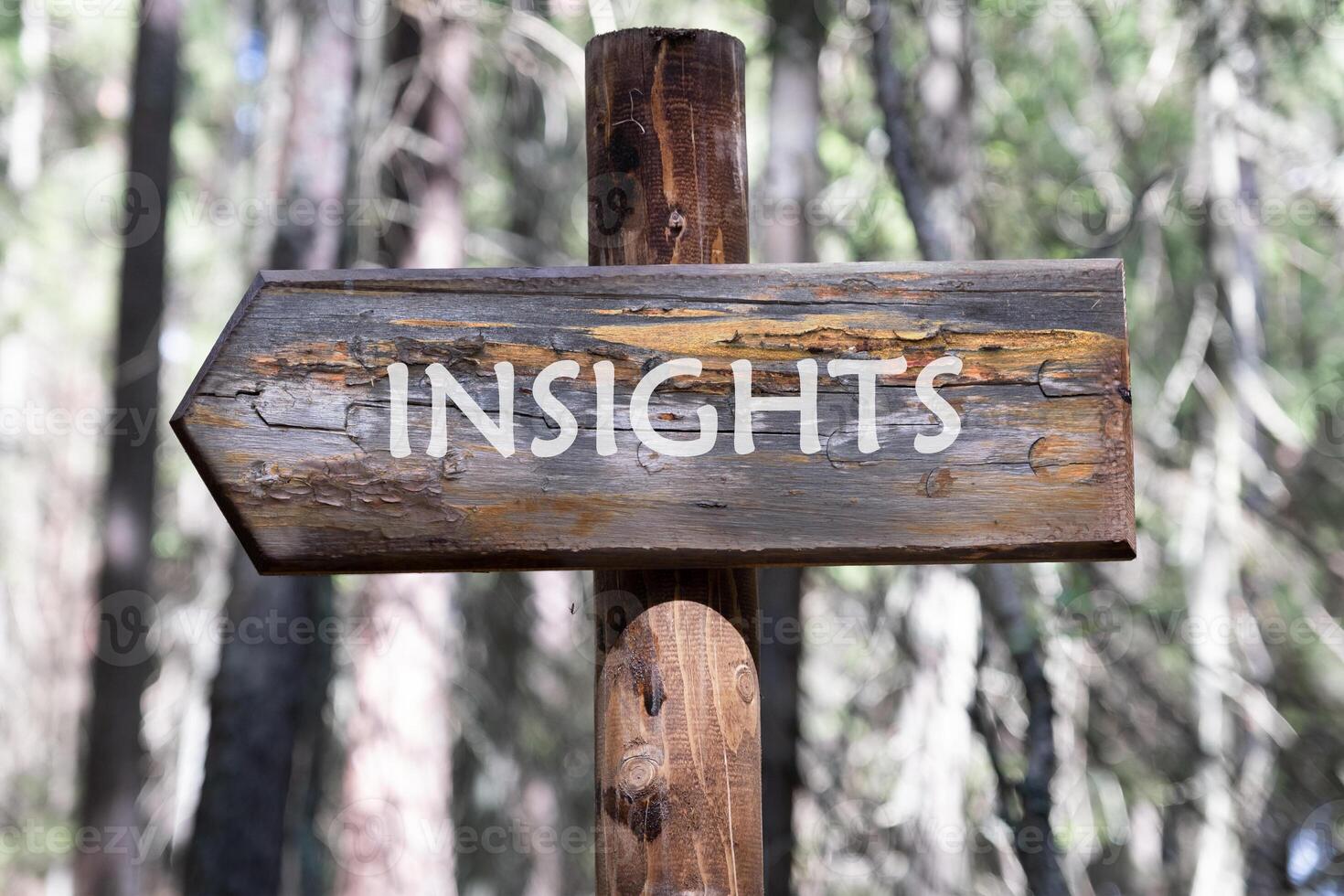 INSIGHTS written on a wooden signpost against a forest background. Technology and data science concept. photo