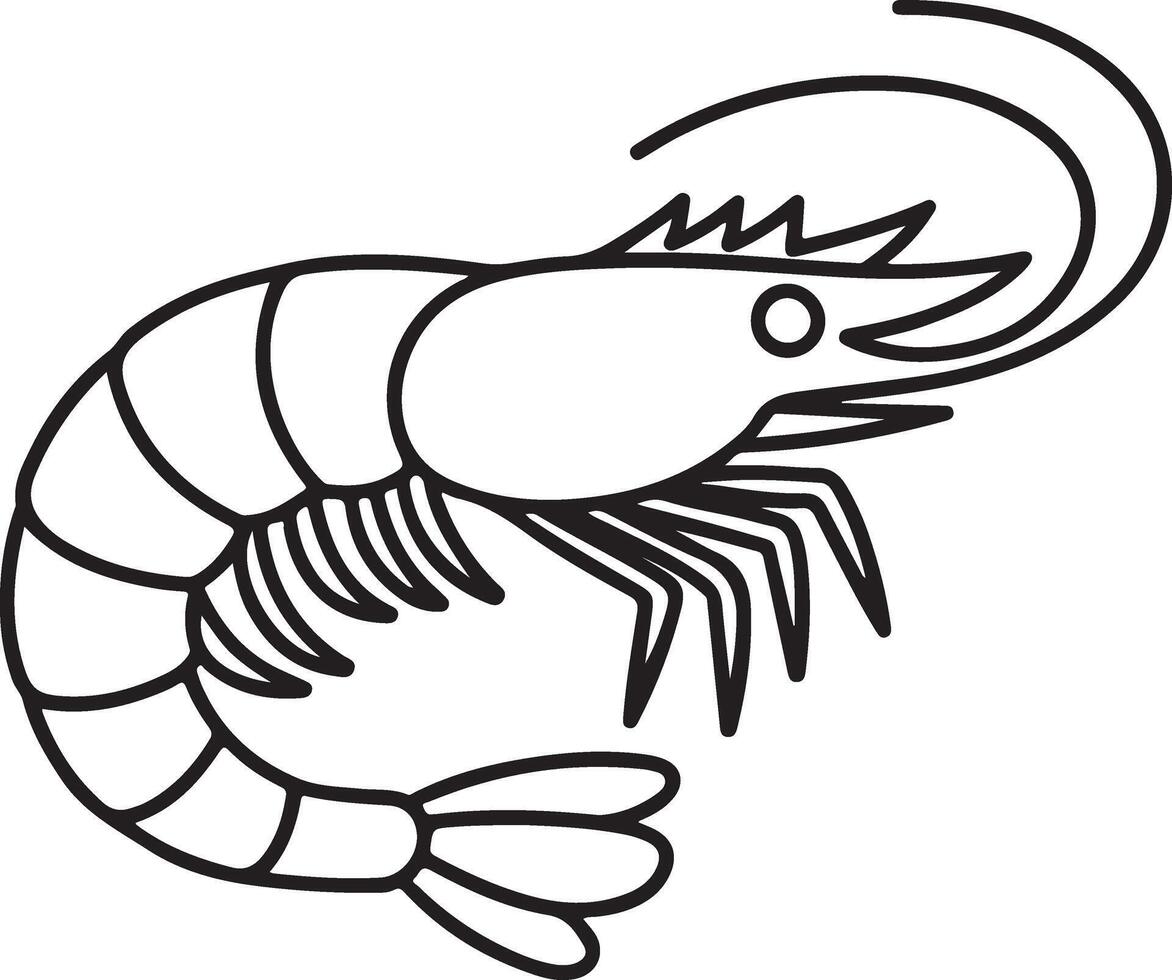 Simple outline drawing of a shrimp with curved antennae and segmented body vector