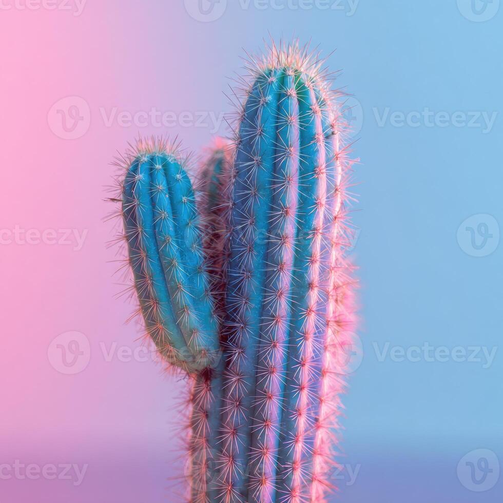 Close-up of a tall cactus with sharp spines, set against a gradient pink and blue background photo