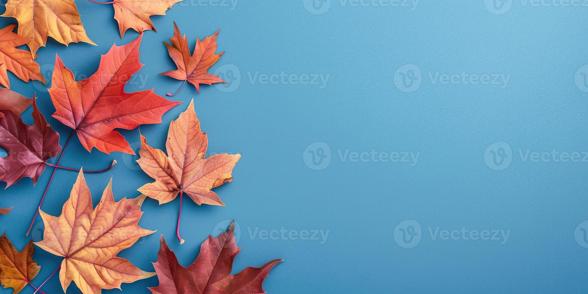 Autumn Background With Colored red leaves on blue. Fall backdrop border made with red leaves. Wide banner template with copy space for text. Top view. Autumn composition. Thanksgiving day flat lay photo