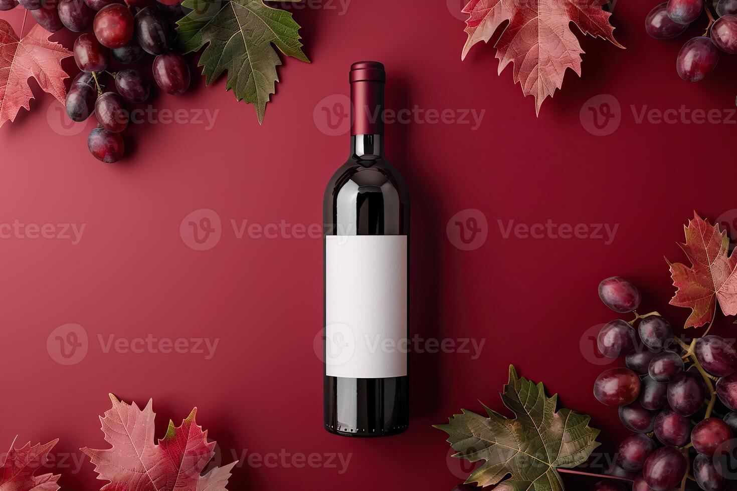 Expensive red wine in bottle with fresh grape bunches on dark red background, top view. Space for text. Overhead view. Wine bottle lying down on magenta surface. Gastronomic product still life. Banner photo