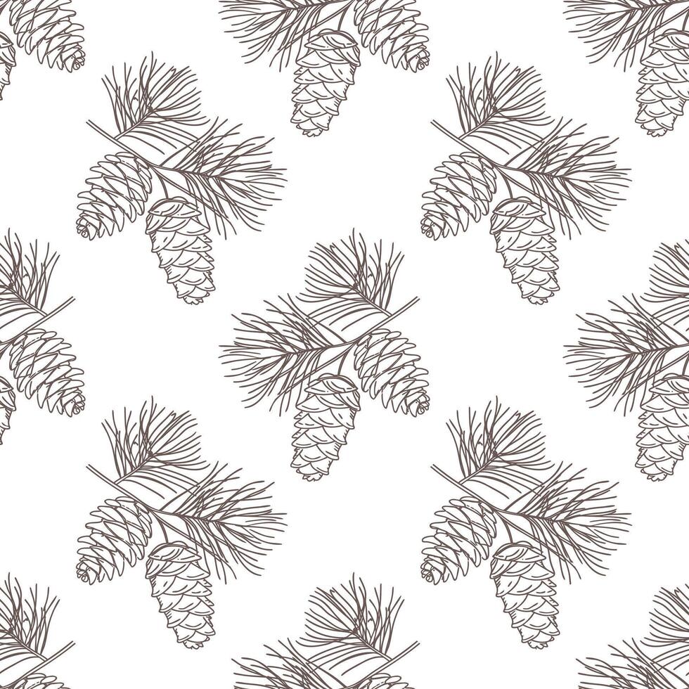 Pine branches with cones seamless botanical pattern. Sketch. Hand drawn illustration. vector