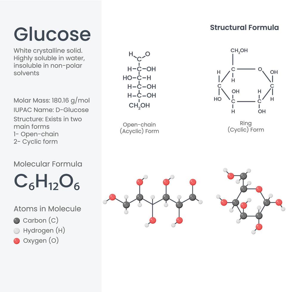 Glucose Molecule C6H12O6, Structural Formula, Open-Chain and Ring Model Illustration vector