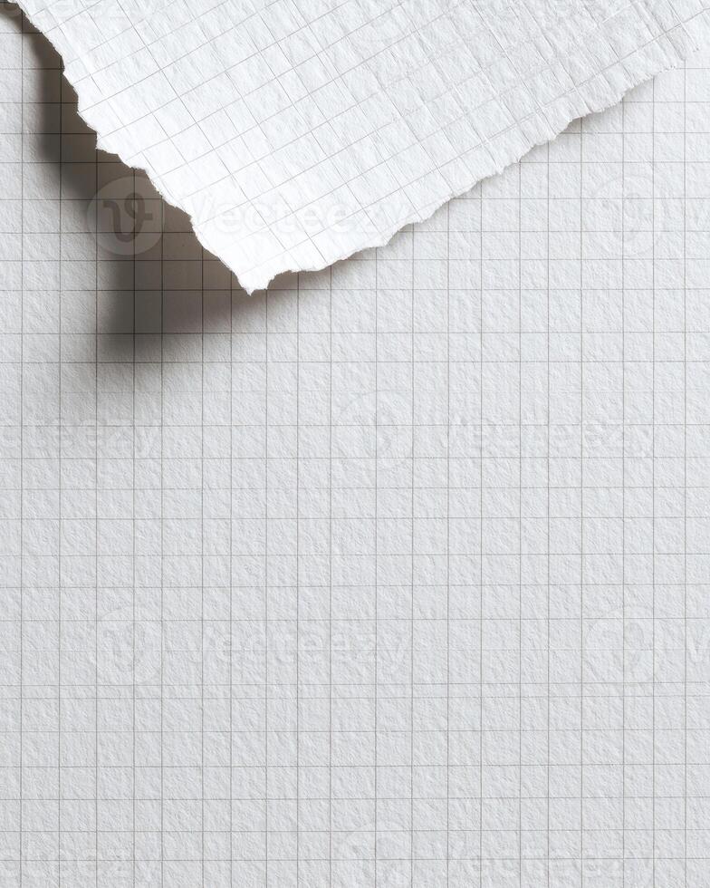 Torn sheet of graph paper with textured surface. Fragment hangs over the background photo