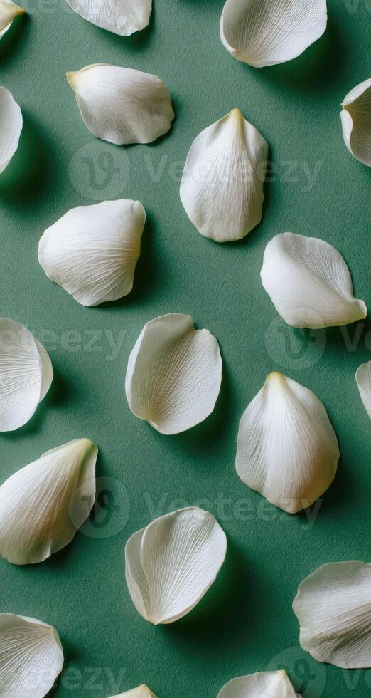 White petals scattered on a green surface, creating a pattern photo
