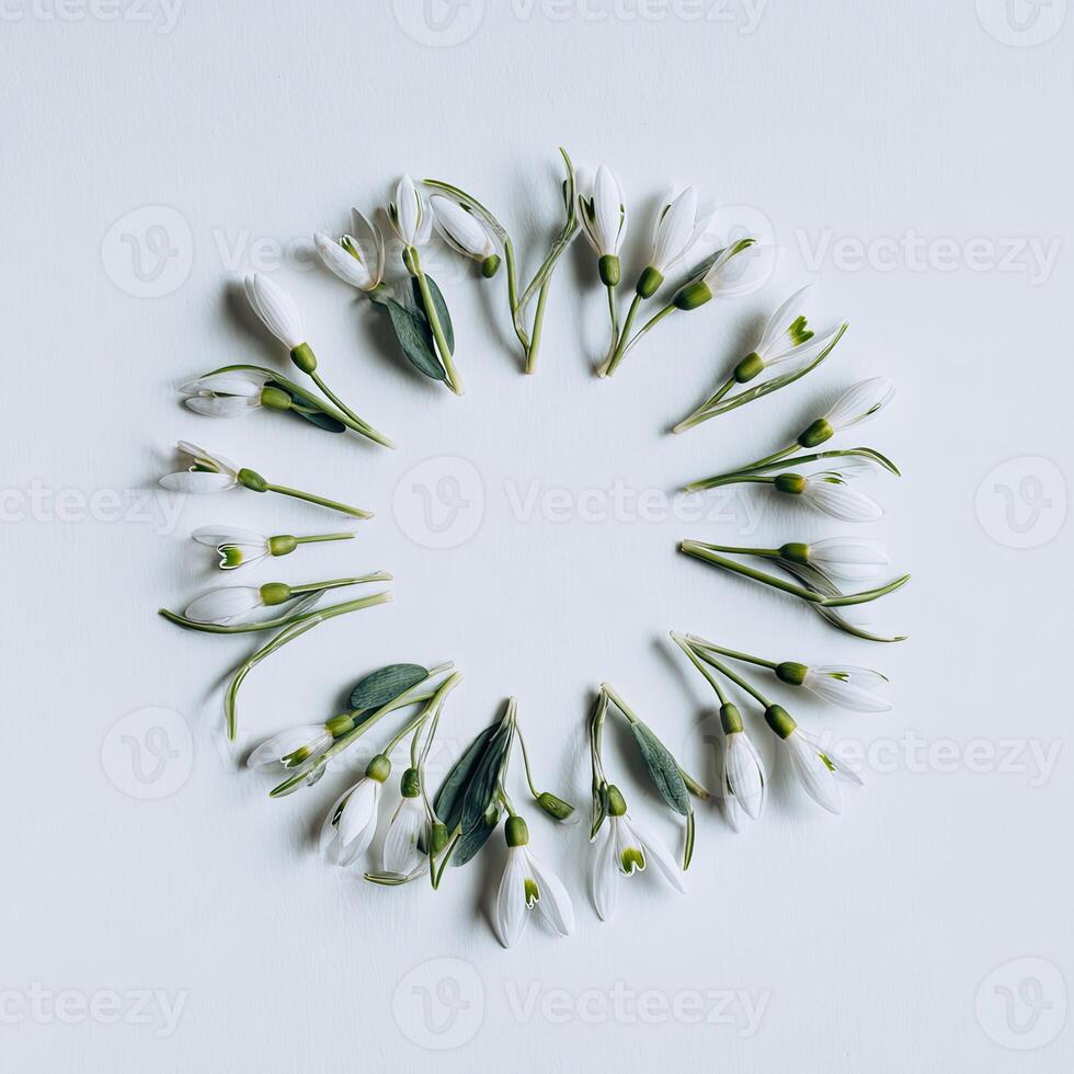 Close-up of snowdrop flowers arranged in a circular pattern against a clean, white backdrop photo