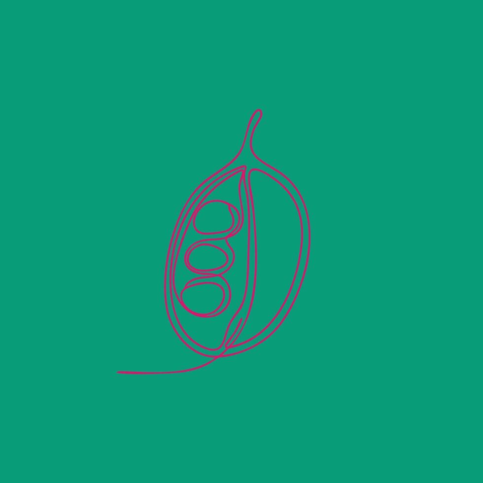Minimalist line drawing of a seed pod with multiple seeds inside on a solid vector