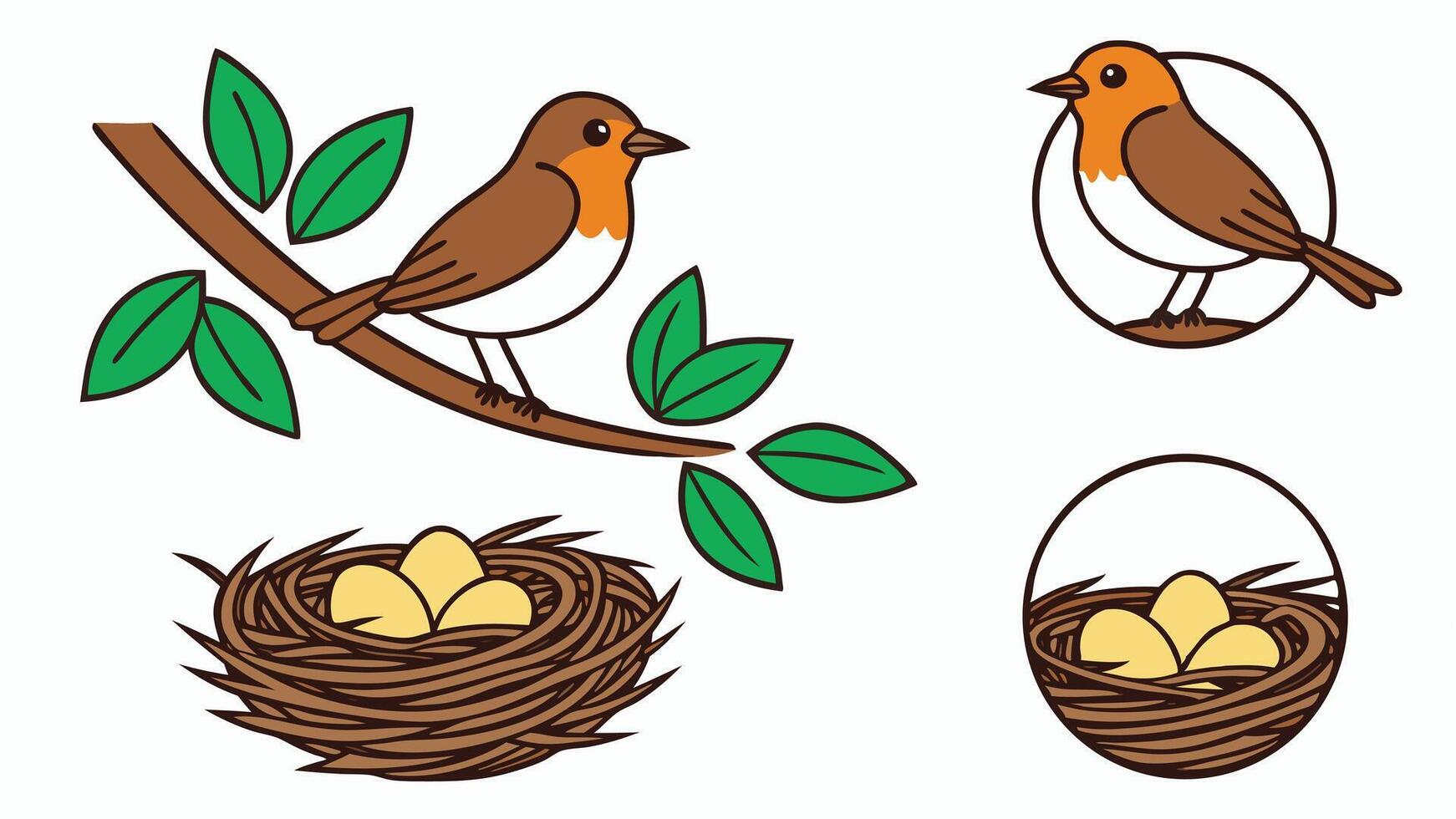 Cute illustration of a robin bird perched on a branch and nest with eggs design vector