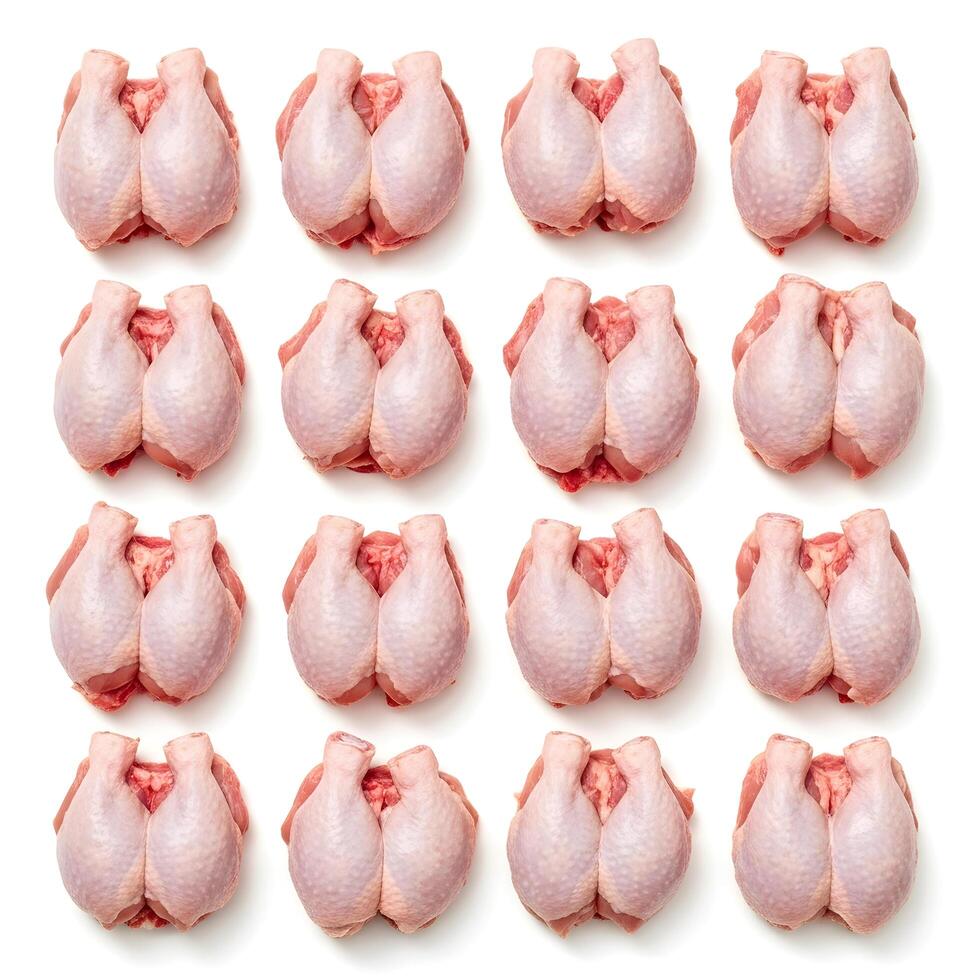 Top-down view of a dozen raw chicken drumsticks arranged in a grid pattern on a white background, ready for cooking or meal preparation photo
