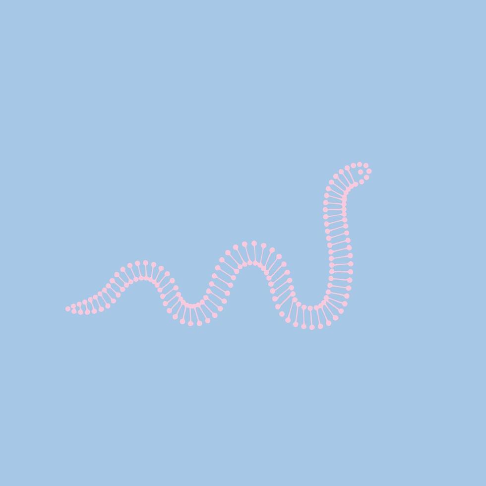 Close-up of a pink segmented worm crawling on a light blue , showcasing detailed body structure and movement pattern vector