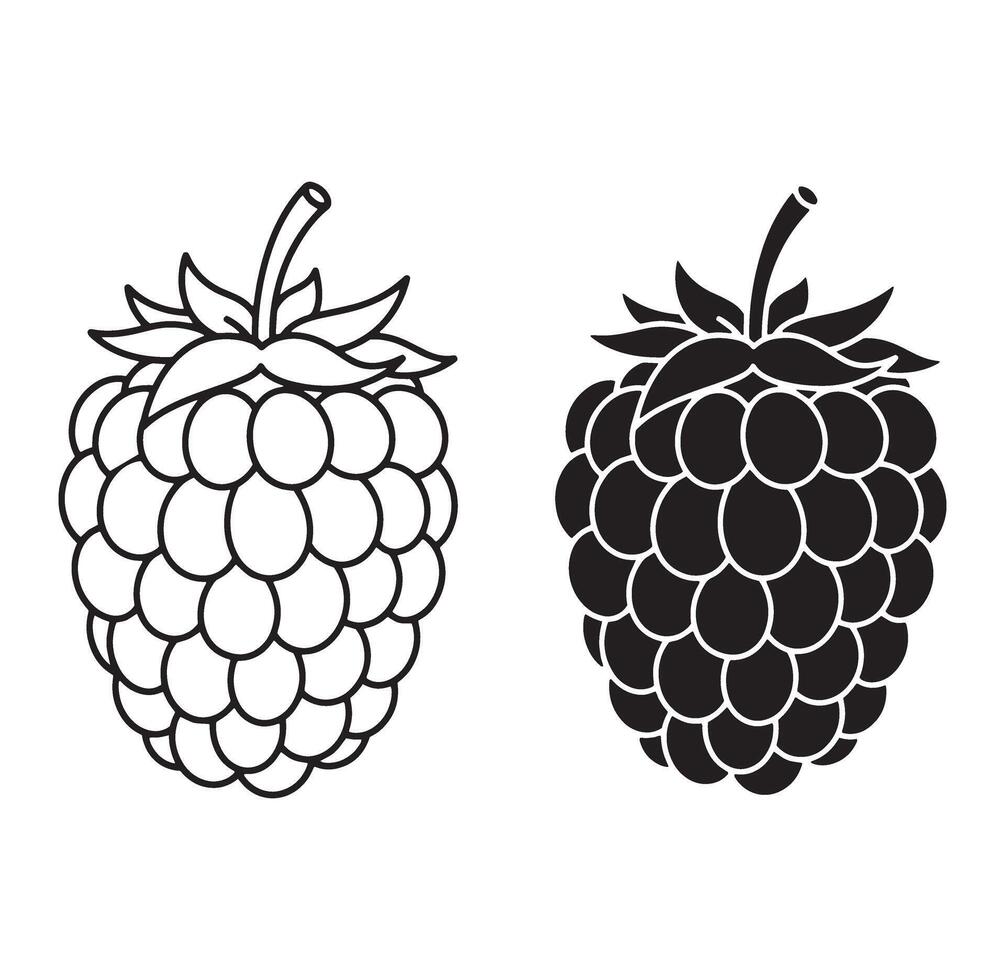illustrations of outlined and solid black raspberry fruit for design projects vector