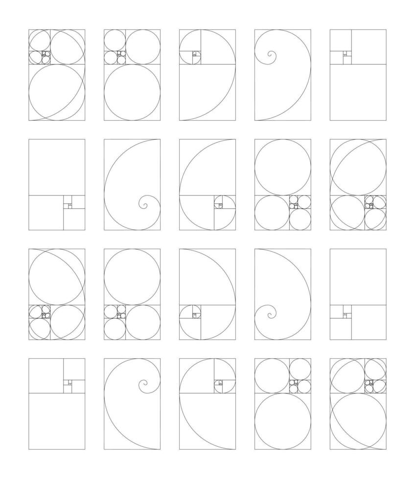 Vertical golden ratio harmony proportions template set. Fibonacci numbers, array collection. vector