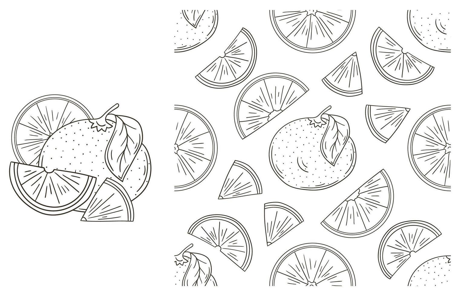 A set of oranges and slices are shown in this image vector