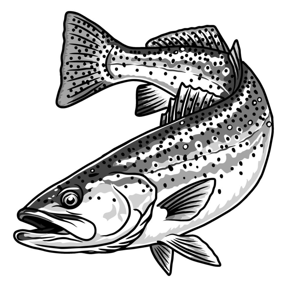Black and white dynamic sketch of a speckled trout fish bending into an S shape. vector