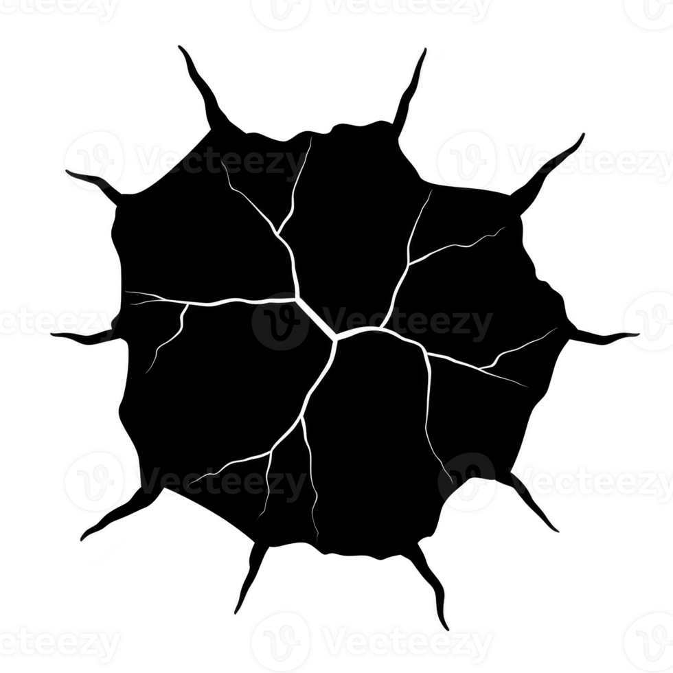 cracked, dark surface resembling spider web pattern with jagged edges and irregular lines, creating abstract and dramatic visual effect png