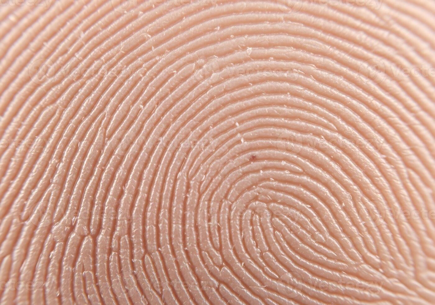 Detailed Fingerprint Macro Security Identity and Forensic Science Concept photo