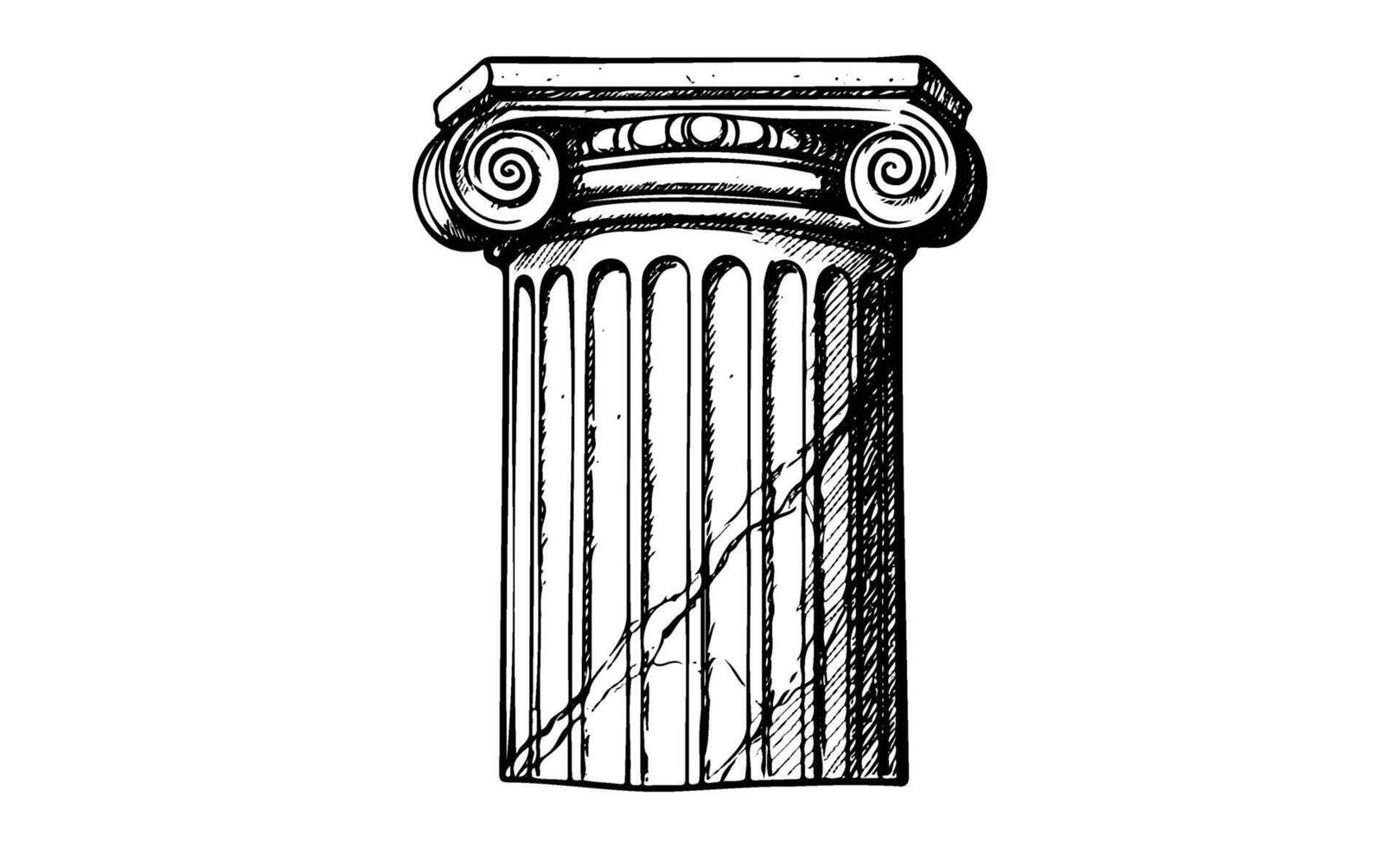 Detailed drawing of classical ionic column with scroll decorations and fluted shaft vector