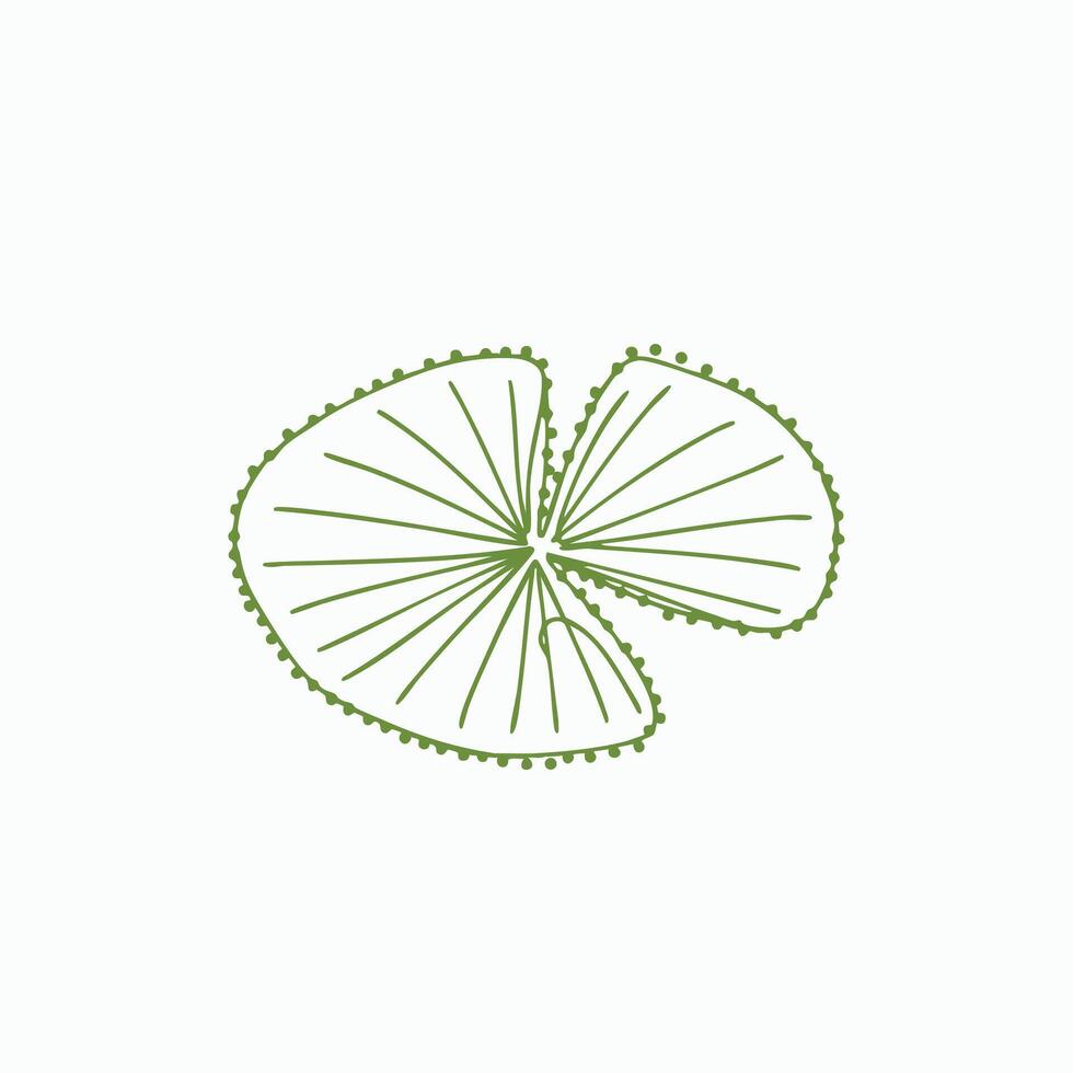 Abstract green line art forming a spiral shape with dotted edges and radiating lines on a vector