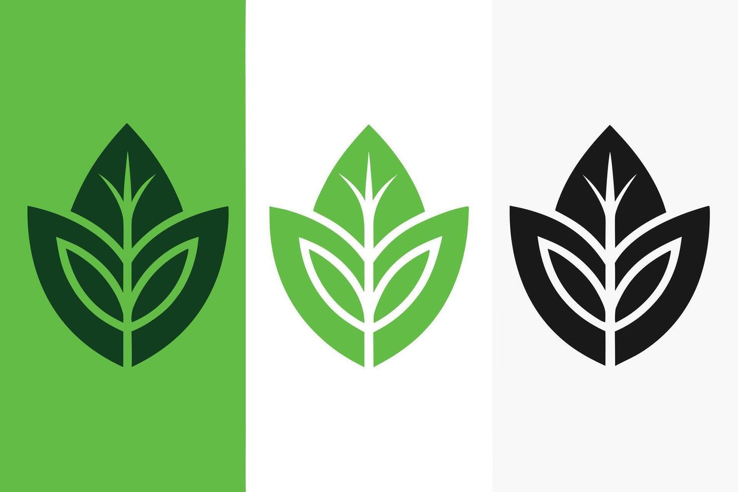 Three stylized leaf icons in different color variations vector