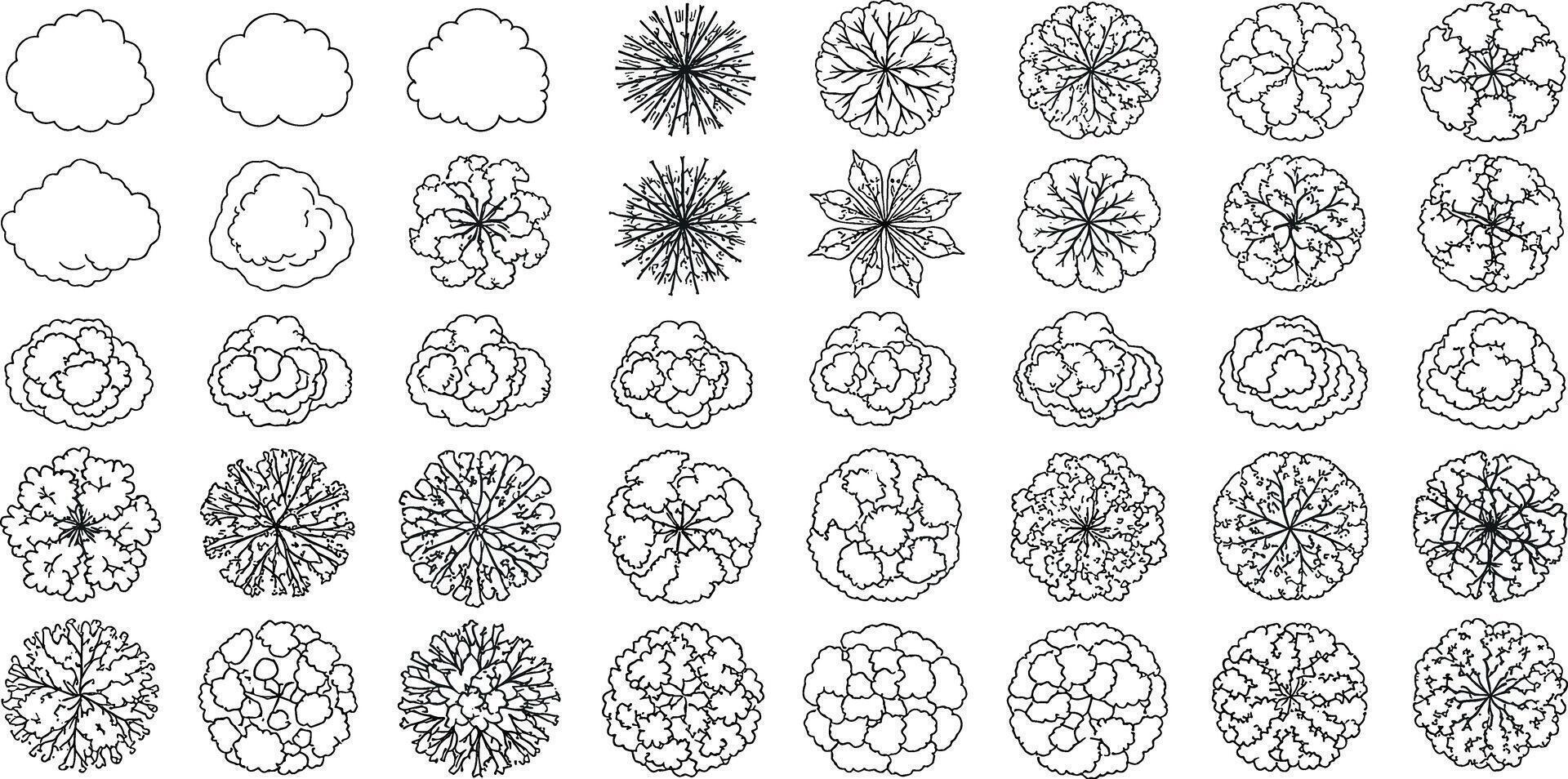 Top view tree collection for architectural and landscape design plans, graphic elements, and artistic rendering vector