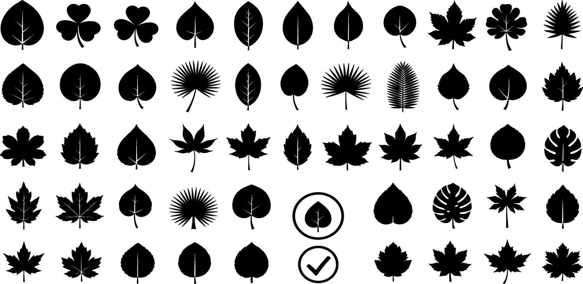 Diverse collection of black and white leaf silhouettes, showcasing various shapes and botanical forms for design elements vector