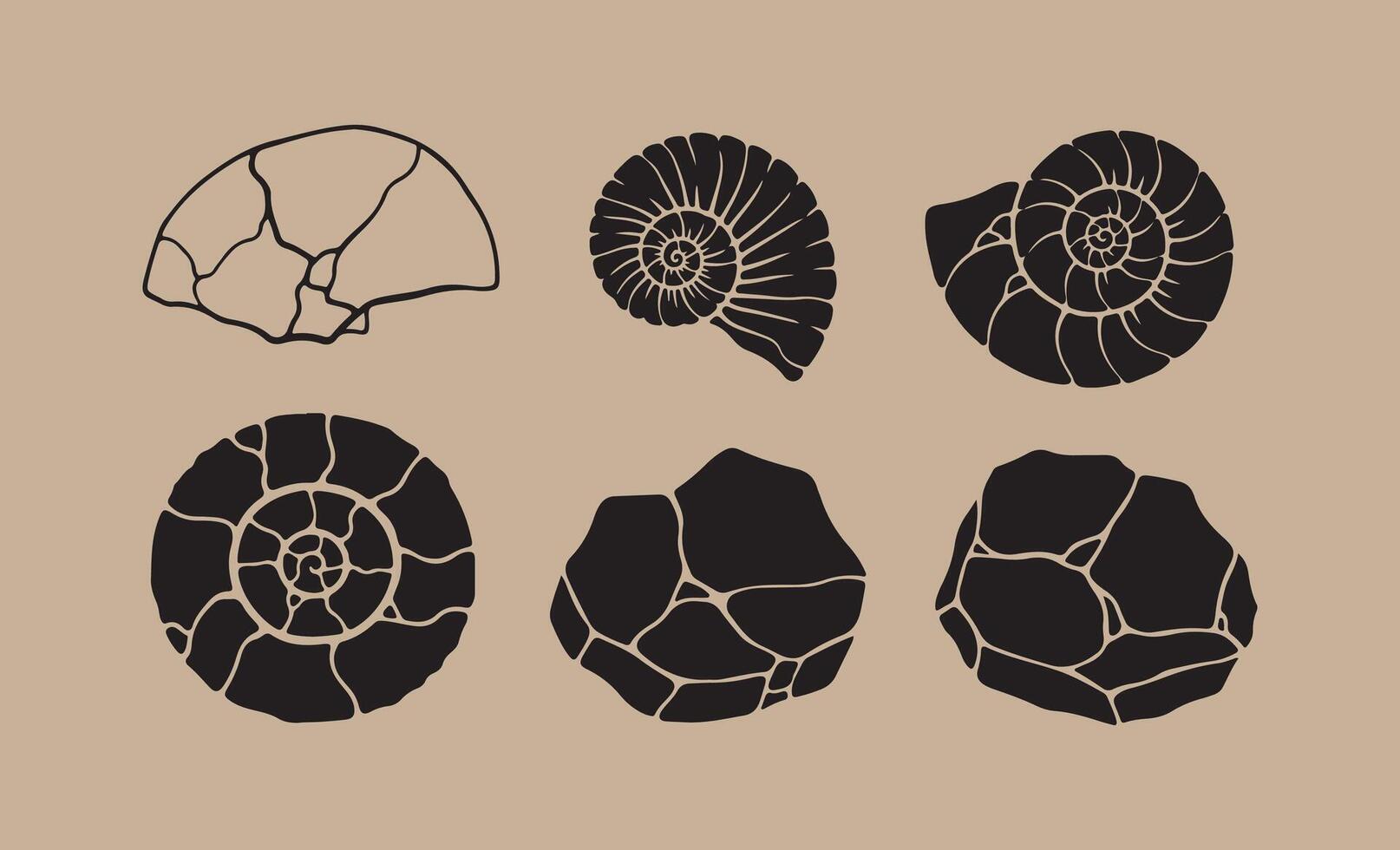 Collection of fossilized shells and ammonites in silhouette vector