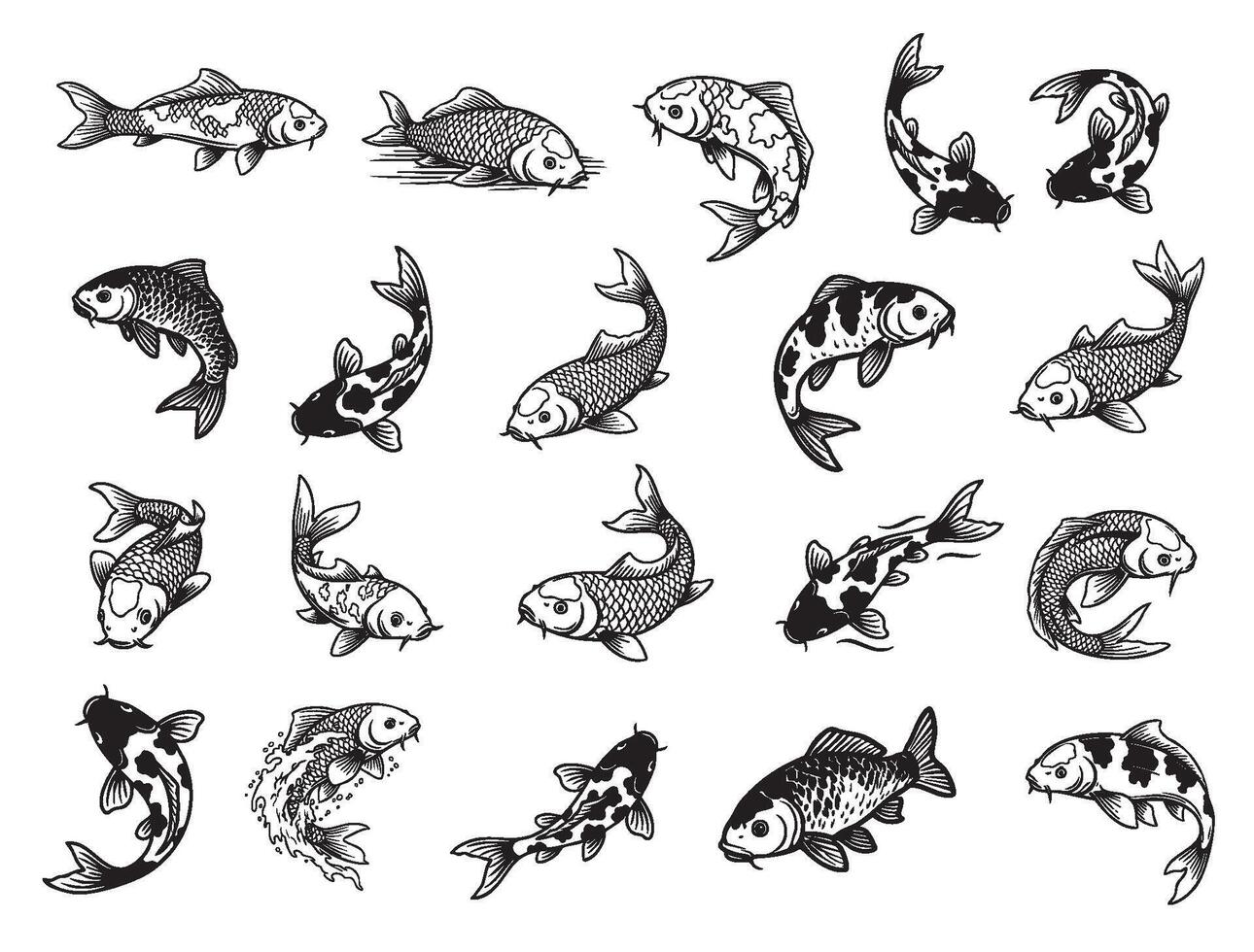 Extensive collection of Koi fish vevtor of illustrations in various swimming and jumping poses, in a black and white line-art style. Pet. vector