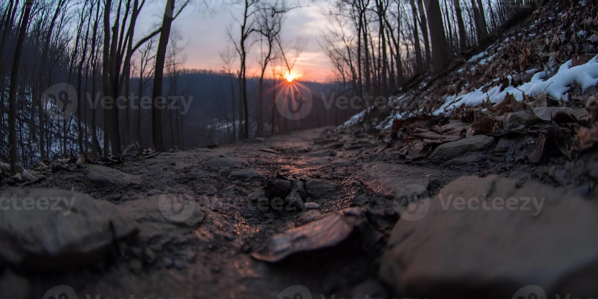 A serene forest path winds through bare trees with the sun setting behind distant hills casting a warm glow photo
