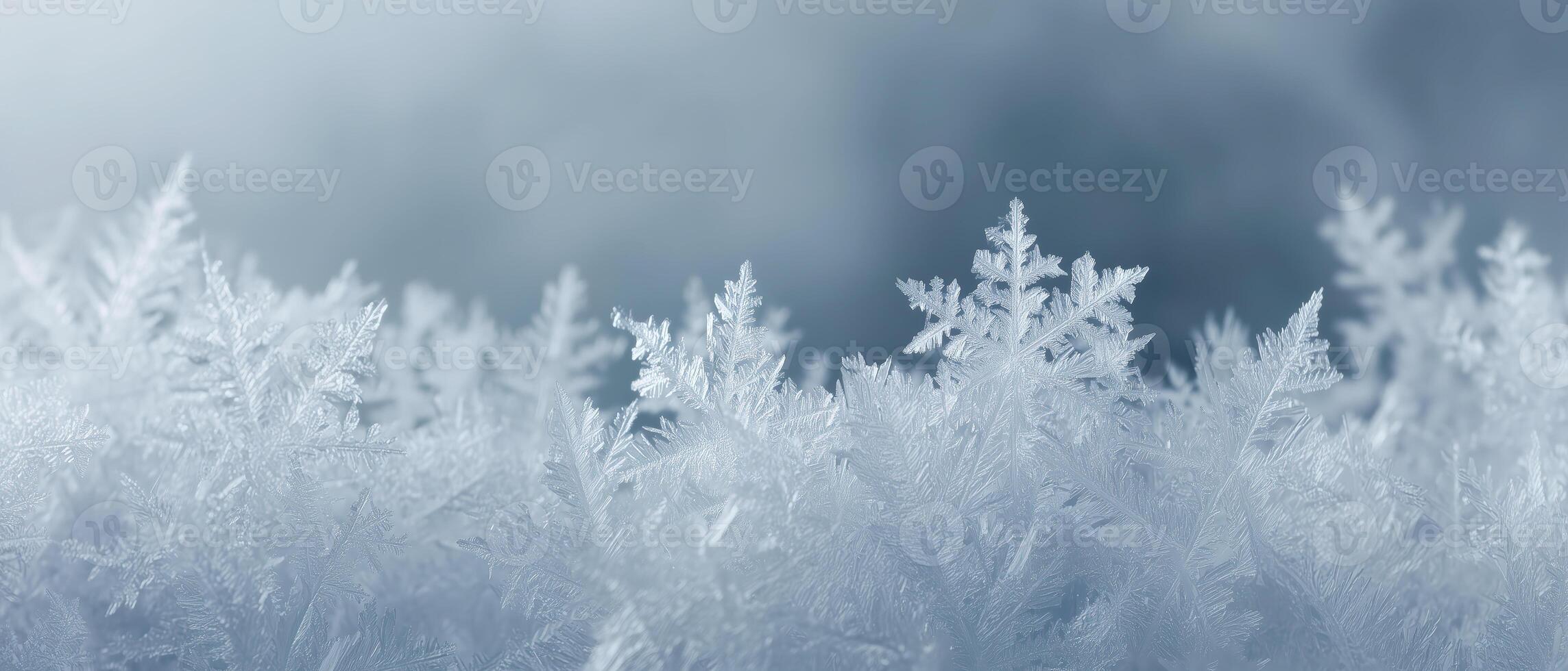 Intricate Frost Patterns on Glass Surface with Soft Natural Light photo