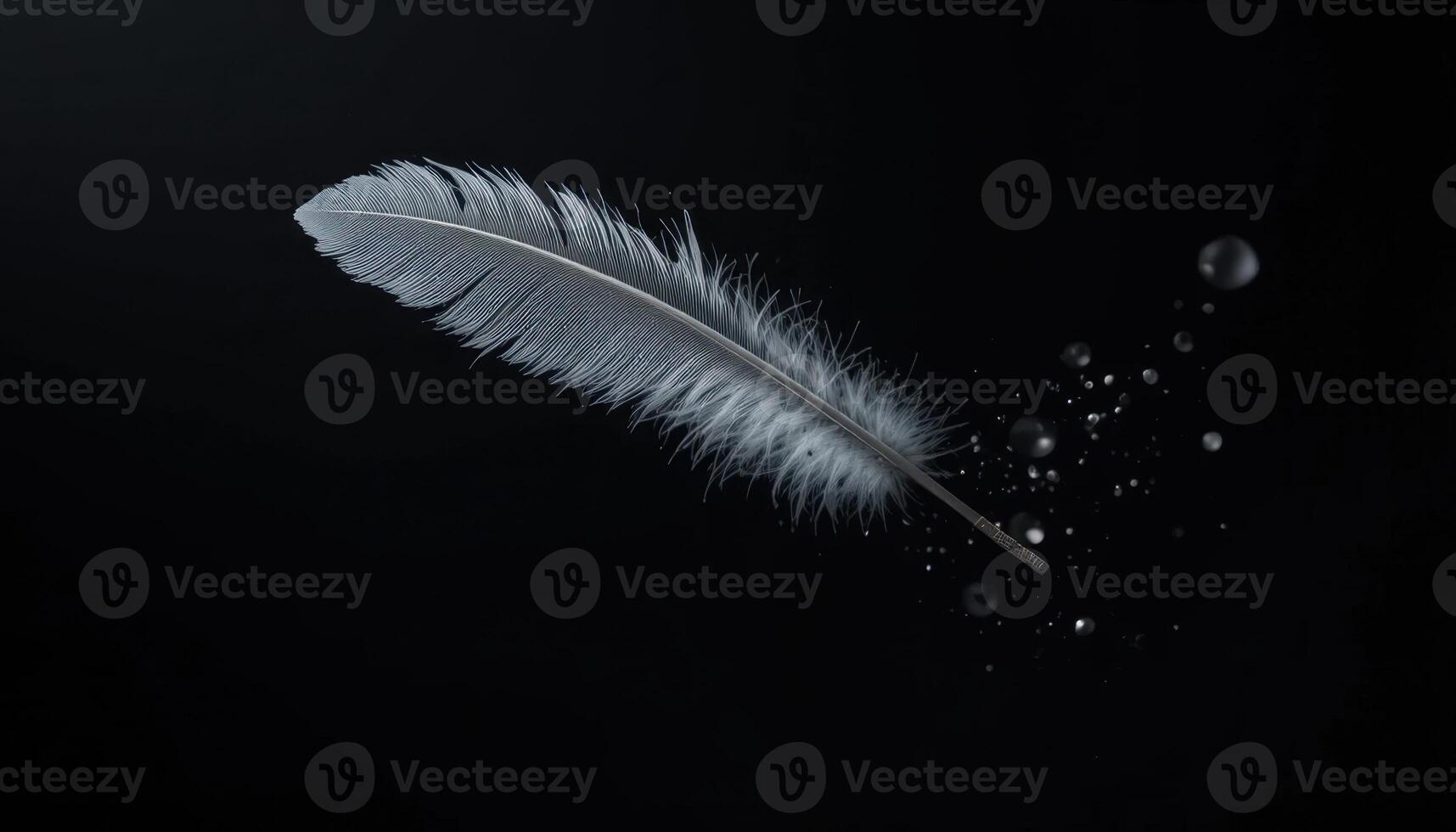 Delicate Feather Drifting in Dark Space With Sparkling Particles Surrounding It photo