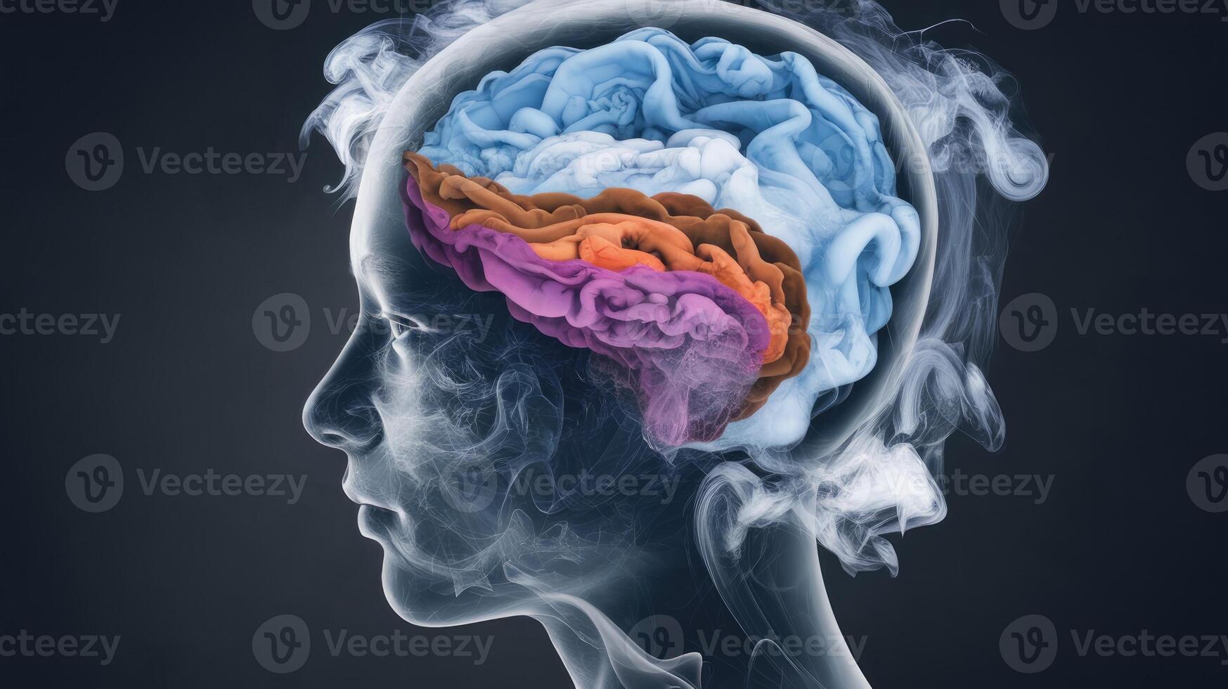 Human Head With Multicolored Brain Visible in Profile View on Dark Background photo