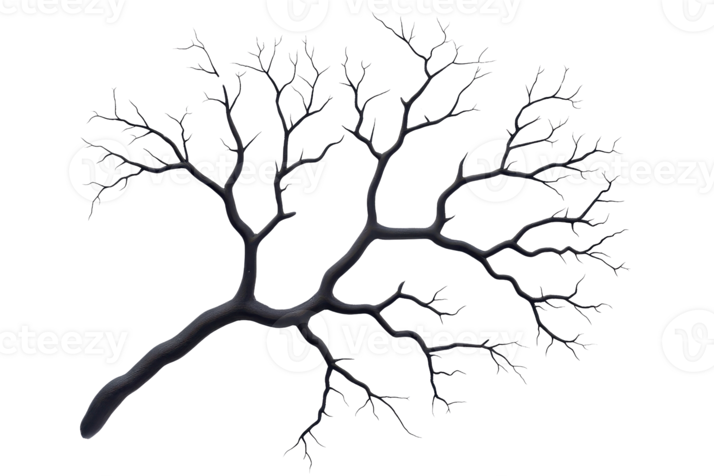 A complex network of dark, leafless tree branches spreads out against transparent background, resembling natural fractal pattern png