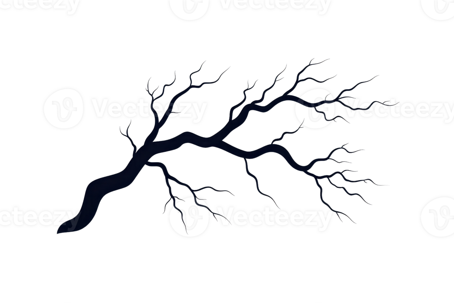 A detailed illustration of bare tree branch with intricate, twisting twigs extending outward, set against transparent background. branch natural curves and texture are highlighted png