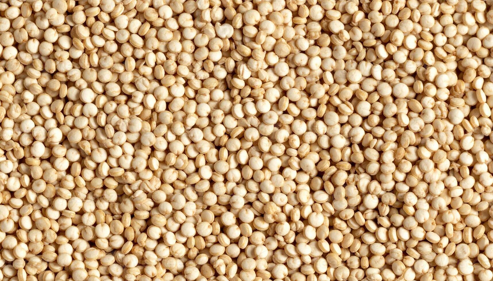 A close-up overhead shot showcases a multitude of tiny, round, pale seeds filling the frame. The texture is granular and natural light highlights the subtle variations in color photo