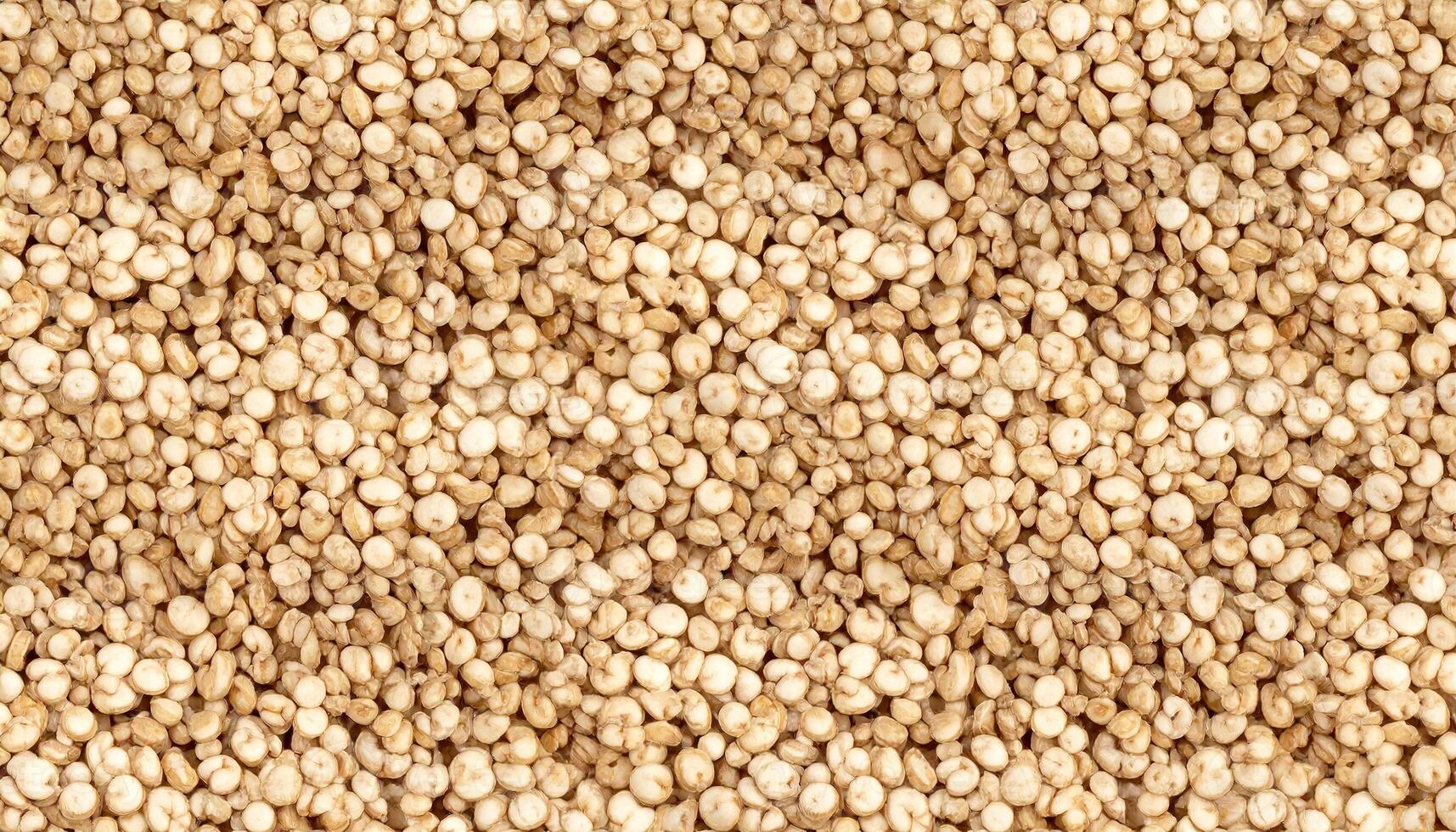 Close-up shot of many small, round, off-white seeds. The texture is granular, with variations in color from light to dark. The seeds are closely packed, filling the entire frame photo