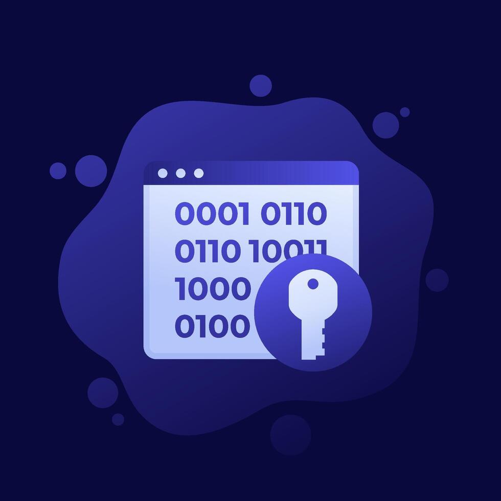 Encryption, key and binary code icon, design vector
