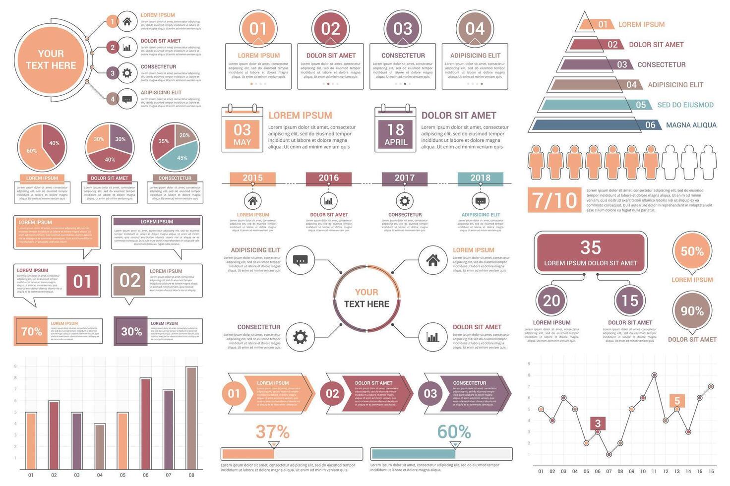 Infographic with charts and data visualizations vector