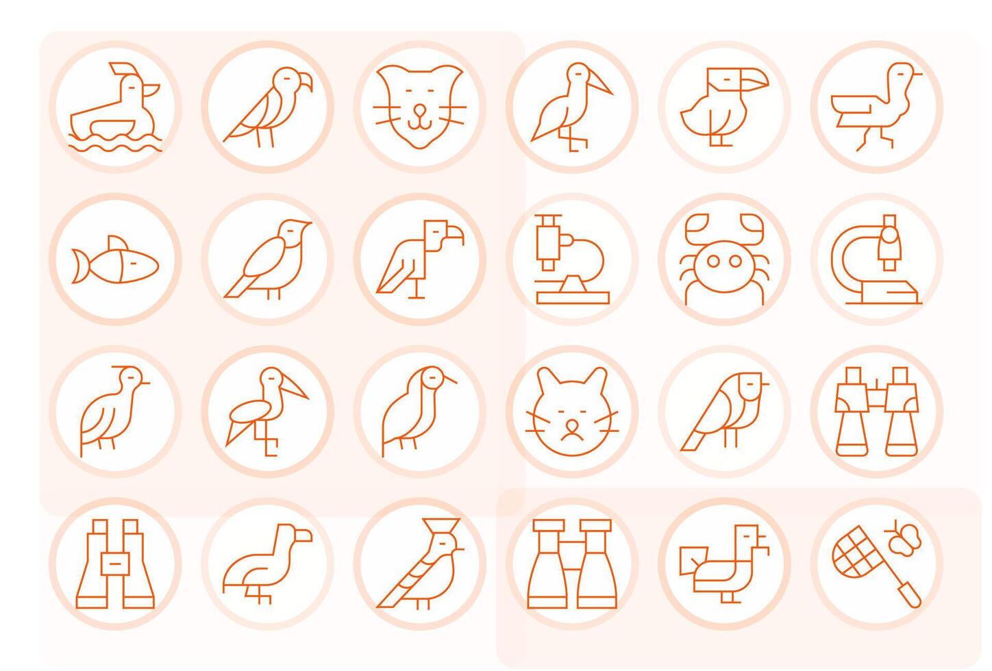 Zoology Icon Repository containing 24 Thin Line 64x64 Pixel Optimized graphics vector