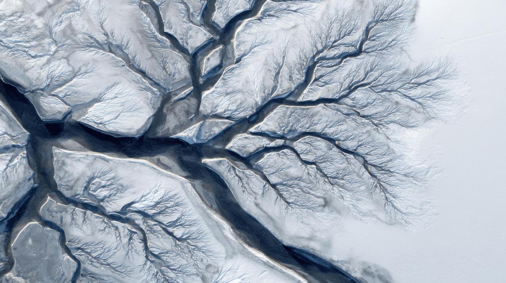 Fractal Patterns That Are Abstract On A Frozen River Delta photo